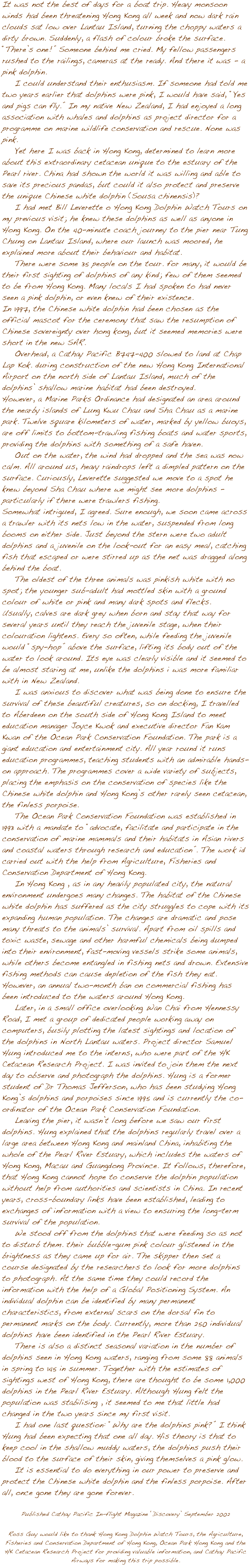 










It was not the best of days for a boat trip. Heavy monsoon winds had been threatening Hong Kong all week and now dark rain clouds sat low over Lantau Island, turning the choppy waters a dirty brown. Suddenly, a flash of colour broke the surface. ݒ�There��s one!�� Someone behind me cried. My fellow passengers rushed to the railings, cameras at the ready. And there it was - a pink dolphin.
    I could understand their enthusiasm. If someone had told me two years earlier that dolphins were pink, I would have said, ��Yes and pigs can fly.�� In my native New Zealand, I had enjoyed a long association with whales and dolphins as project director for a programme on marine wildlife conservation and rescue. None was pink. 
    Yet here I was back in Hong Kong, determined to learn more about this extraordinary cetacean unique to the estuary of the Pearl river. China had shown the world it was willing and able to save its precious pandas, but could it also protect and preserve the unique Chinese white dolphin (Sousa chinensis)? 
    I had met Bill Leverette o Hong Kong Dolphin Watch Tours on my previous visit; he knew these dolphins as well as anyone in Hong Kong. On the 40-minute coach journey to the pier near Tung Chung on Lantau Island, where our launch was moored, he explained more about their behaviour and habitat.
    There were some 35 people on the tour. for many, it would be their first sighting of dolphins of any kind; few of them seemed to be from Hong Kong. Many locals I had spoken to had never seen a pink dolphin, or even knew of their existence. 
In 1997, the Chinese white dolphin had been chosen as the official mascot for the ceremony that saw the resumption of Chinese sovereignty over hong kong, but it seemed memories were short in the new SAR.
    Overhead, a Cathay Pacific B747-400 slowed to land at Chap Lap Kok. during construction of the new Hong Kong International Airport on the north side of Lantau Island, much of the dolphins�� shallow marine habitat had been destroyed. 
However, a Marine Parks Ordinance had designated an area around the nearby islands of Lung Kwu Chau and Sha Chau as a marine park. Twelve square kilometers of water, marked by yellow buoys, are off limits to bottom-trawling fishing boats and water sports, providing the dolphins with something of a safe haven. 
    Out on the water, the wind had dropped and the sea was now calm. All around us, heavy raindrops left a dimpled pattern on the surface. Curiously, Leverette suggested we move to a spot he knew beyond Sha Chau where we might see more dolphins - particularly if there were trawlers fishing. 
Somewhat intrigued, I agreed. Sure enough, we soon came across a trawler with its nets low in the water, suspended from long booms on either side. Just beyond the stern were two adult dolphins and a juvenile on the look-out for an easy meal, catching fish that escaped or were stirred up as the net was dragged along behind the boat.
    The oldest of the three animals was pinkish white with no spot; the younger sub-adult had mottled skin with a ground colour of white or pink and many dark spots and flecks. 
Usually, calves are dark grey when born and stay that way for several years until they reach the juvenile stage, when their colouration lightens. Every so often, while feeding the juvenile would ��spy-hop�� above the surface, lifting its body out of the water to look around. Its eye was clearly visible and it seemed to be almost staring at me, unlike the dolphins i was more familiar with in New Zealand. 
    I was anxious to discover what was being done to ensure the survival of these beautiful creatures, so on docking, I travelled to Aberdeen on the south side of Hong Kong Island to meet education manager Joyce Kwok and executive director Fan Kam Kwan of the Ocean Park Conservation Foundation. The park is a giant education and entertainment city. All year round it runs education programmes, teaching students with an admirable hands-on approach. The programmes cover a wide variety of subjects, placing the emphasis on the conservation of species like the Chinese white dolphin and Hong Kong��s other rarely seen cetacean, the finless porpoise. 
    The Ocean Park Conservation Foundation was established in 1993 with a mandate to ��advocate, facilitate and participate in the conservation of marine mammals and their habitats in Asian rivers and coastal waters through research and education��. The work id carried out with the help from Agriculture, Fisheries and Conservation Department of Hong Kong. 
    In Hong Kong , as in any heavily populated city, the natural environment undergoes many changes. The habitat of the Chinese white dolphin has suffered as the city struggles to cope with its expanding human population. The changes are dramatic and pose many threats to the animals�� survival. Apart from oil spills and toxic waste, sewage and other harmful chemicals being dumped into their environment, fast-moving vessels strike some animals, while others become entangled in fishing nets and drown. Extensive fishing methods can cause depletion of the fish they eat. However, an annual two-month ban on commercial fishing has been introduced to the waters around Hong Kong. 
    Later, in a small office overlooking Wan Chai from Hennessy Road, I met a group of dedicated people working away on computers, busily plotting the latest sightings and location of the dolphins in North Lantau waters. Project director Samuel Hung introduced me to the interns, who were part of the HK Cetacean Research Project. I was invited to join them the next day to observe and photograph the dolphins. Hung is a former student of Dr Thomas Jefferson, who has been studying Hong Kong��s dolphins and porpoises since 1995 and is currently the co-ordinator of the Ocean Park Conservation Foundation.
    Leaving the pier, it wasn��t long before we saw our first dolphins. Hung explained that the dolphins regularly travel over a large area between Hong Kong and mainland China, inhabiting the whole of the Pearl River Estuary, which includes the waters of Hong Kong, Macau and Guangdong Province. It follows, therefore, that Hong Kong cannot hope to conserve the dolphin population without help from authorities and scientists in China. In recent years, cross-boundary links have been established, leading to exchanges of information with a view to ensuring the long-term survival of the population.
    We stood off from the dolphins that were feeding so as not to disturb them. their bubble-gum pink colour glistened in the brightness as they came up for air. The skipper then set a course designated by the researchers to look for more dolphins to photograph. At the same time they could record the information with the help of a Global Positioning System. An individual dolphin can be identified by many permanent characteristics, from external scars on the dorsal fin to permanent marks on the body. Currently, more than 250 individual dolphins have been identified in the Pearl River Estuary.
    There is also a distinct seasonal variation in the number of dolphins seen in Hong Kong waters, ranging from some 88 animals in spring to 145 in summer. Together with the estimates of sightings west of Hong Kong, there are thought to be some 1,000 dolphins in the Pearl River Estuary. Although Hung felt the population was stabilising , it seemed to me that little had changed in the two years since my first visit. 
    I had one last question: ��Why are the dolphins pink?�� I think Hung had been expecting that one all day. His theory is that to keep cool in the shallow muddy waters, the dolphins push their blood to the surface of their skin, giving themselves a pink glow. 
    It is essential to do everything in our power to preserve and protect the Chinese white dolphin and the finless porpoise. After all, once gone they are gone forever. 

Published Cathay Pacific In-flight Magazine ��Discovery�� September 2002

Ross Guy would like to thank Hong Kong Dolphin Watch Tours, the Agriculture, Fisheries and Conservation Department of Hong Kong, Ocean Park Hong Kong and the HK Cetacean Research Project for providing valuable information, and Cathay Pacific Airways for making this trip possible. 
    