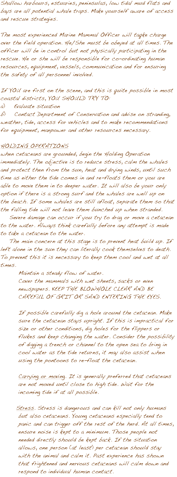 Shallow harbours, estuaries, peninsulas, low tidal mud flats and bays are all potential whale traps. Make yourself aware of access and rescue strategies. 

The most experienced Marine Mammal Officer will taqke charge over the field operation. He/She must be obeyed at all times. The officer will be in control but not physically participating in the rescue. He or she will be responsible for co-ordinating human resources, equipment, vessels, communication and for ensuring the safety of all personnel involved.

If YOU are first on the scene, and this is quite possible in most coastal districts, YOU SHOULD TRY TO:
a)    Evaluate situation
b)    Contact Department of Conservation and advise on stranding, weather, tide, access for vehicles and to make recommendations for equipment, manpower and other resources necessary. 

HOLDING OPERATIONS
when cetaceans are grounded, begin the Holding Operation immediately. The objective is to reduce stress, calm the whales and protect then from the sun, heat and drying winds, until such time as either the tide comes in and re-floats them or you are able to move them in to deeper water. It will also be your only option if there is a strong surf and the whales are well up on the beach. If some whales are still afloat, separate them so that the falling tide will not leave them bunched up when stranded. 
    Severe damage can occur if you try to drag or move a cetacean to the water. Always think carefully before any attempt is made to take a cetacean to the water.
    The main concern at this stage is to prevent heat build up. If left alone in the sun they can literally cook themselves to death. To prevent this it is necessary to keep them cool and wet at all times.
        Maintain a steady flow of water.
        Cover the mammals with wet sheets, sacks or even         
        newspapers. KEEP THE BLOWHOLE CLEAR AND BE         
        CAREFUL OF GRIT OR SAND ENTERING THE EYES. 

        If possible carefully dig a hole around the cetacean. Make             
        sure the cetacean stays upright. If this is impractical for     
        size or other conditions, dig holes for the flippers or     
        flukes and keep changing the water. Consider the possibility         
        of digging a trench or channel to the open sea to bring in 
        cool water as the tide returns, it may also assist when 
        using the pontoons to re-float the cetacean. 

        Carrying or moving. It is generally preferred that cetaceans     
        are not moved until close to high tide. Wait for the 
        incoming tide if at all possible. 
        
       Stress. Stress is dangerous and can kill not only humans 
        but also cetaceans. Young cetaceans especially tend to 
        panic and can trigger off the rest of the herd. At all times, 
        ensure noise is kept to a minimum. Those people not 
        needed directly should be kept back. If the situation 
        allows, one person (at least) per cetacean should stay 
        with the animal and calm it. Past experience has shown 
        that frightened and nervous cetaceans will calm down and 
        respond to individual human contact.  

